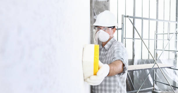 Professional Mold Removal in Elberta, AL